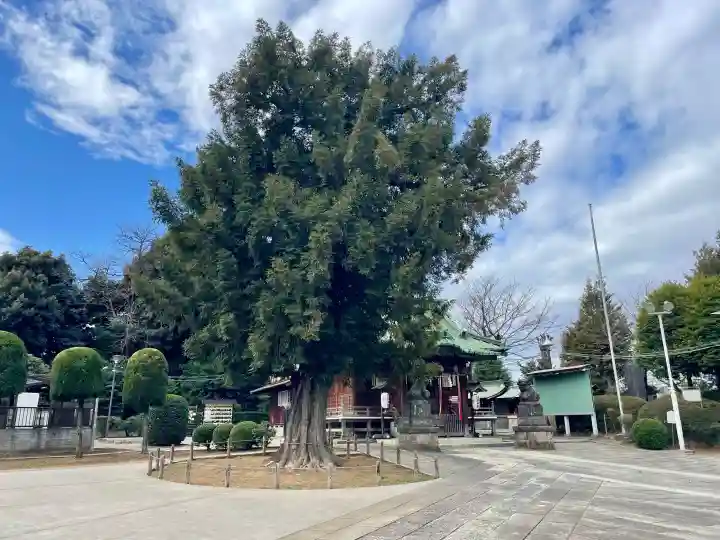 諏訪神社の{uncategorized: "未分類", other: "その他", undefined: "問題あり", building: "その他建物", grave: "お墓", sacred_gate: "鳥居", guardian: "狛犬", statue: "像", buddha: "仏像", history: "歴史", nature: "自然", garden: "庭園", animal: "動物", pagoda: "塔", temizu: "手水舎", mountain_gate: "山門・神門", sanctuary: "本殿・本堂", subordinate: "末社・摂社", art: "芸術", scenery: "景色", jizo: "地蔵", ema: "絵馬", goshuin: "御朱印", omikuji: "おみくじ", items: "授与品その他", amulet: "お守り", goshuincho: "御朱印帳", eats: "食事", festival: "お祭り", votive_dance: "神楽", shichigosan: "七五三参", wedding: "結婚式", experience: "体験その他", initially: "初詣", around: "周辺", anti_infection: "感染症対策"}