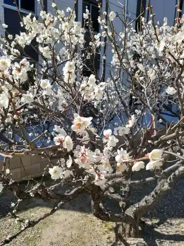大宮神社(千葉県)
