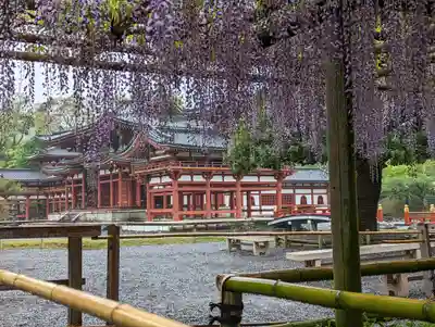 平等院(京都府)