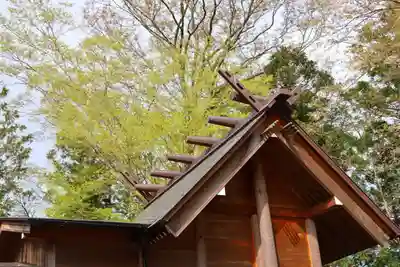 阿久津「田村神社」（郡山市阿久津町）旧社名：伊豆箱根三嶋三社の本殿・本堂