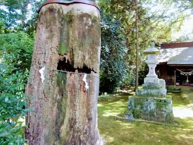 子安神社のその他建物