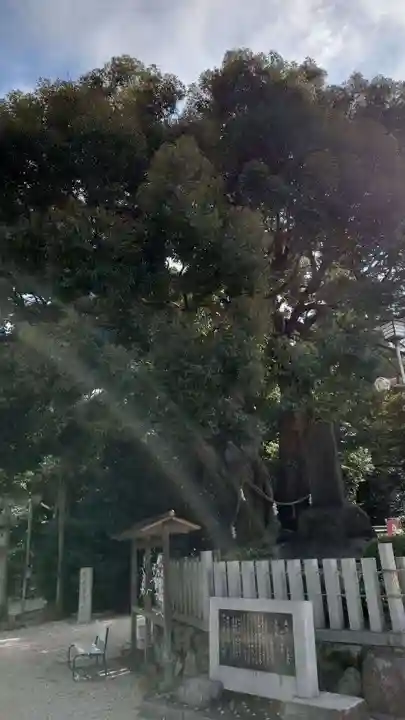 志氐神社(三重県)