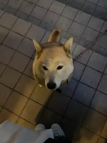 笠䅣稲荷神社(神奈川県)