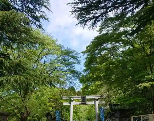 南湖神社の鳥居