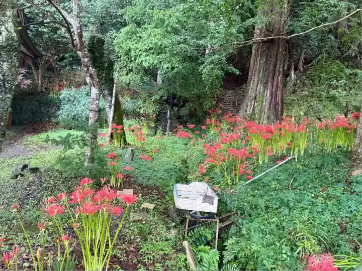 金時神社(静岡県)