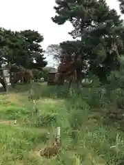 竹生島神社の建物その他