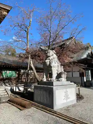 寒川神社の狛犬