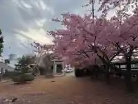 東雷神社(千葉県)