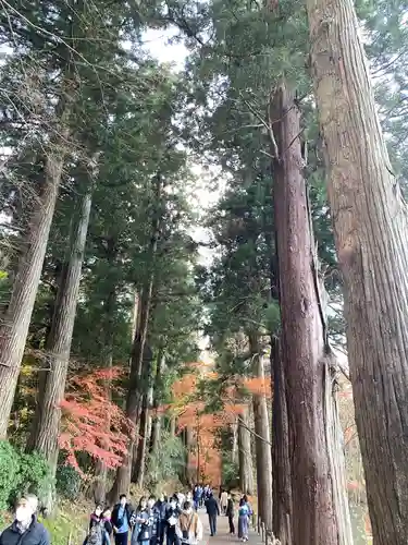 中尊寺のその他建物