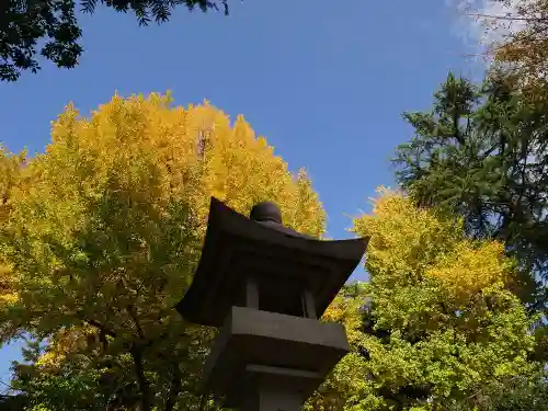 鳩森八幡神社のその他建物
