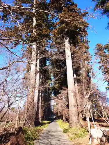八幡宮(茨城県)