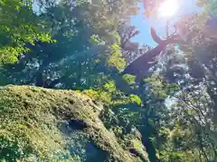 阿波々神社の自然