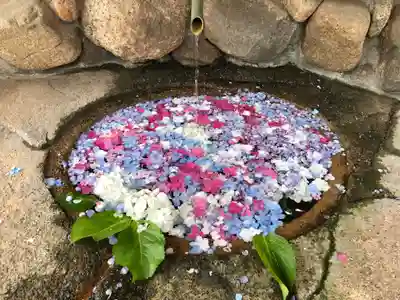 生田神社の手水舎