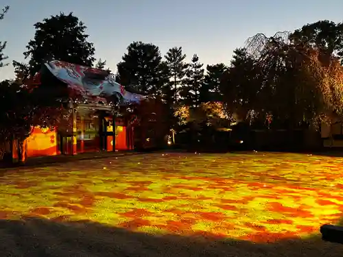 高台寺（高台寿聖禅寺・高臺寺）(京都府)