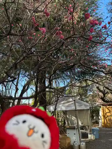 牛天神北野神社(東京都)