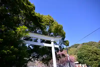 川津来宮神社(静岡県)