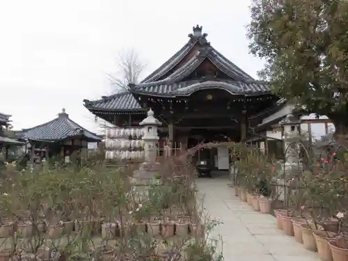 おふさ観音（観音寺）の本殿・本堂