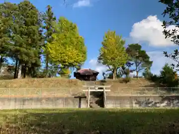 田美神社(千葉県)
