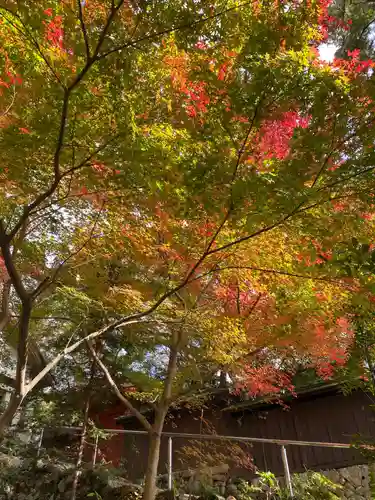 事任八幡宮の自然