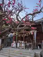 鳩森八幡神社の本殿・本堂