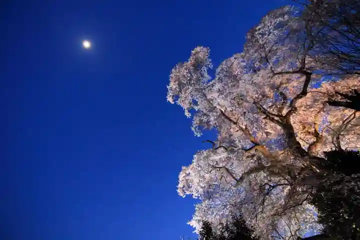 天神さまの祠の自然