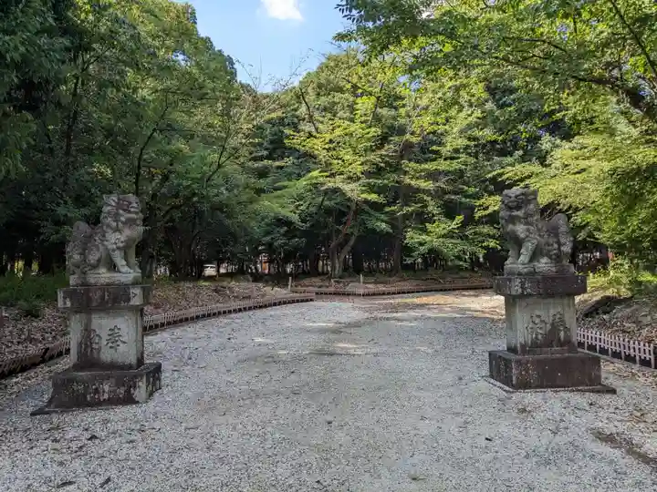 八幡社(柏井町)の狛犬