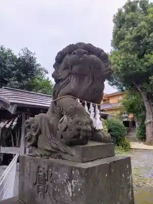 鳩ヶ谷氷川神社の狛犬