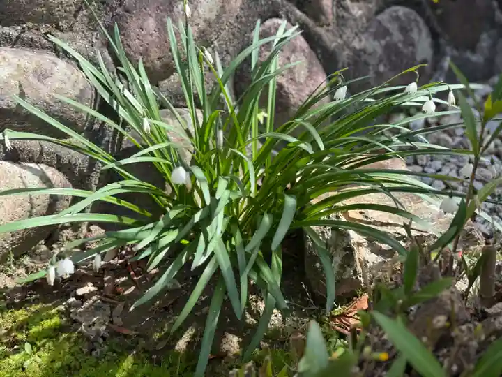 西方山極楽寺(岐阜県)
