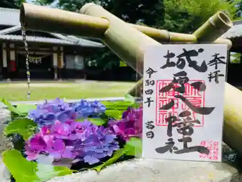 城原八幡社の御朱印 2024年10月