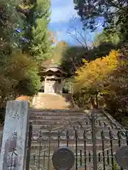 西念寺のお墓