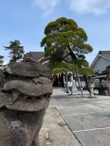 高靇神社の狛犬