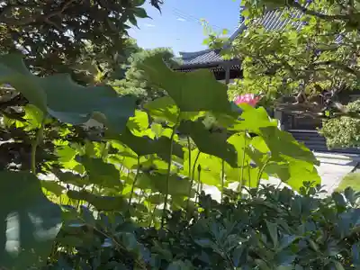 梅香寺(三重県)