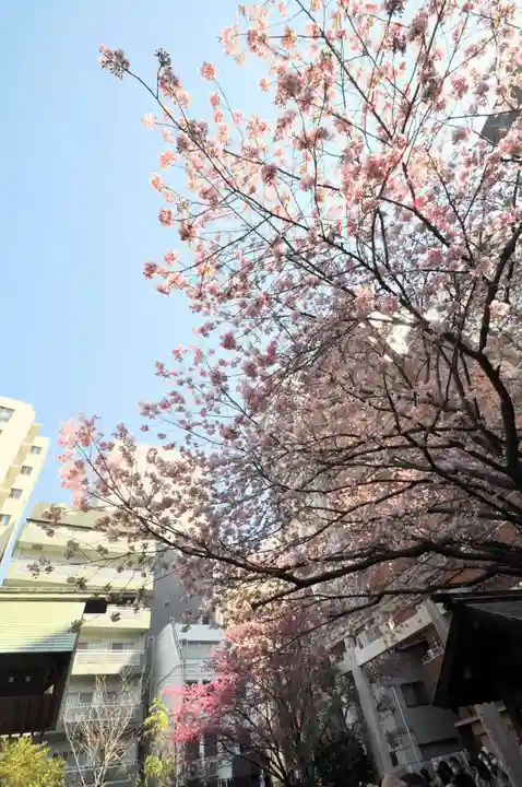 蔵前神社(東京都)