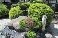 吉祥寺の建物その他