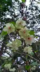 息栖神社の自然