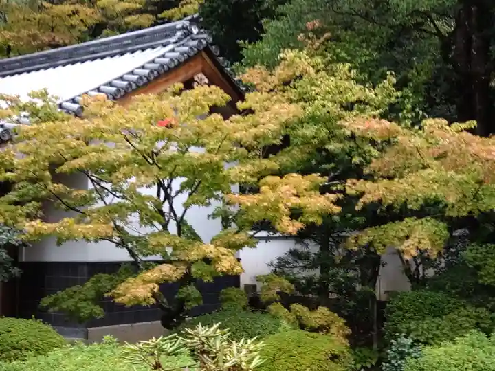 隨心院(随心院)(京都府)