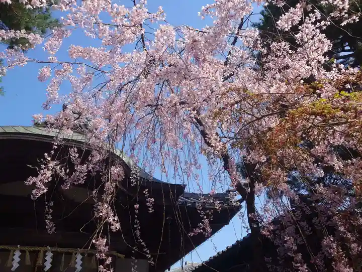 火産霊神社(新潟県)