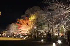 東寺（教王護国寺）(京都府)