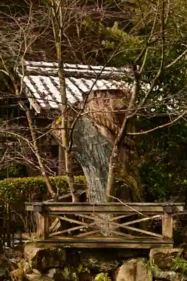 寂光院(京都府)