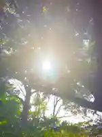 金刀比羅神社(茨城県)