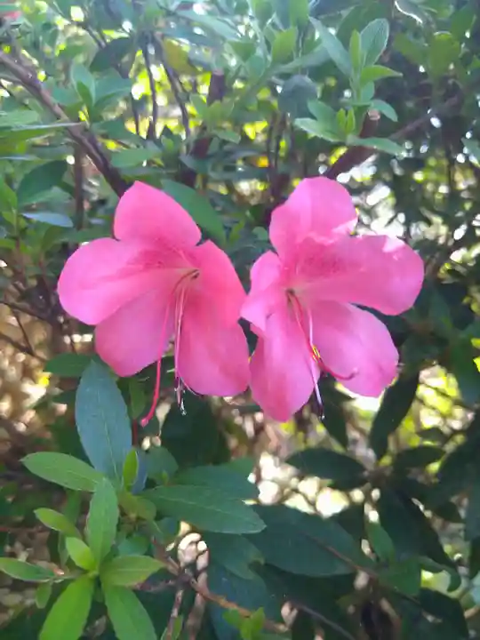 吉備津神社(岡山県)