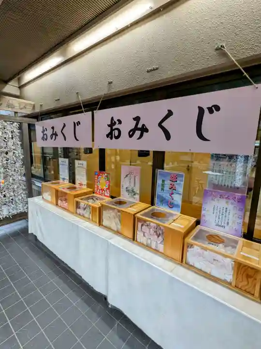 北海道神宮頓宮のおみくじ