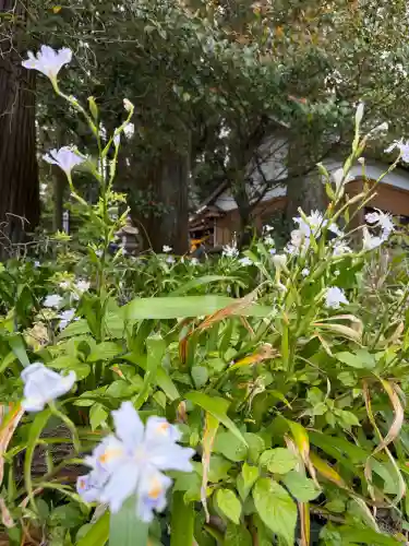 一幣司浅間神社の{uncategorized: "未分類", other: "その他", undefined: "問題あり", building: "その他建物", grave: "お墓", sacred_gate: "鳥居", guardian: "狛犬", statue: "像", buddha: "仏像", history: "歴史", nature: "自然", garden: "庭園", animal: "動物", pagoda: "塔", temizu: "手水舎", mountain_gate: "山門・神門", sanctuary: "本殿・本堂", subordinate: "末社・摂社", art: "芸術", scenery: "景色", jizo: "地蔵", ema: "絵馬", goshuin: "御朱印", omikuji: "おみくじ", items: "授与品その他", amulet: "お守り", goshuincho: "御朱印帳", eats: "食事", festival: "お祭り", votive_dance: "神楽", shichigosan: "七五三参", wedding: "結婚式", experience: "体験その他", initially: "初詣", around: "周辺", anti_infection: "感染症対策"}