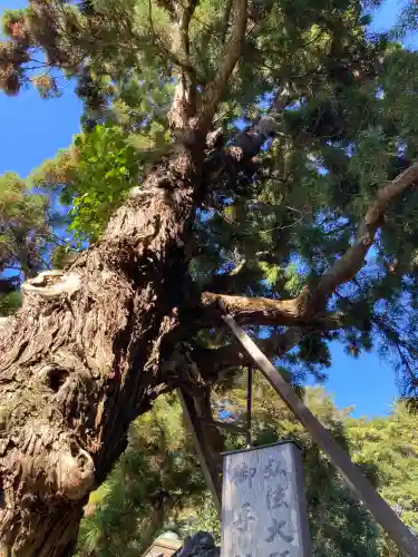 極楽寺の{uncategorized: "未分類", other: "その他", undefined: "問題あり", building: "その他建物", grave: "お墓", sacred_gate: "鳥居", guardian: "狛犬", statue: "像", buddha: "仏像", history: "歴史", nature: "自然", garden: "庭園", animal: "動物", pagoda: "塔", temizu: "手水舎", mountain_gate: "山門・神門", sanctuary: "本殿・本堂", subordinate: "末社・摂社", art: "芸術", scenery: "景色", jizo: "地蔵", ema: "絵馬", goshuin: "御朱印", omikuji: "おみくじ", items: "授与品その他", amulet: "お守り", goshuincho: "御朱印帳", eats: "食事", festival: "お祭り", votive_dance: "神楽", shichigosan: "七五三参", wedding: "結婚式", experience: "体験その他", initially: "初詣", around: "周辺", anti_infection: "感染症対策"}