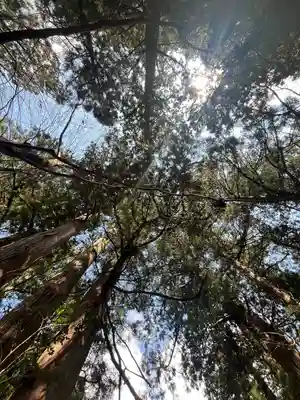 花園神社(茨城県)