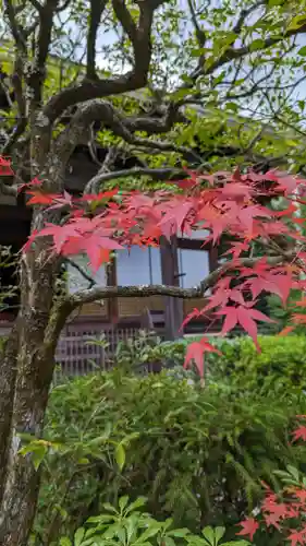 光悦寺(京都府)