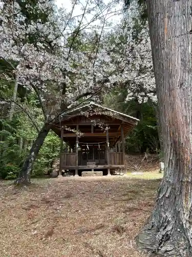 新海三社神社の{uncategorized: "未分類", other: "その他", undefined: "問題あり", building: "その他建物", grave: "お墓", sacred_gate: "鳥居", guardian: "狛犬", statue: "像", buddha: "仏像", history: "歴史", nature: "自然", garden: "庭園", animal: "動物", pagoda: "塔", temizu: "手水舎", mountain_gate: "山門・神門", sanctuary: "本殿・本堂", subordinate: "末社・摂社", art: "芸術", scenery: "景色", jizo: "地蔵", ema: "絵馬", goshuin: "御朱印", omikuji: "おみくじ", items: "授与品その他", amulet: "お守り", goshuincho: "御朱印帳", eats: "食事", festival: "お祭り", votive_dance: "神楽", shichigosan: "七五三参", wedding: "結婚式", experience: "体験その他", initially: "初詣", around: "周辺", anti_infection: "感染症対策"}