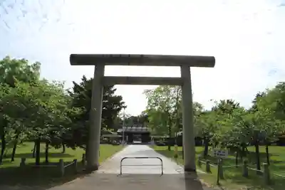 札幌護國神社の鳥居
