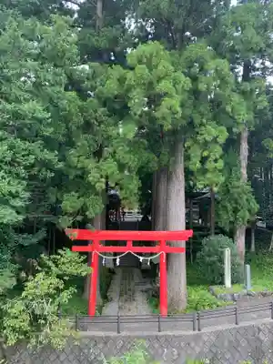 須山浅間神社の鳥居