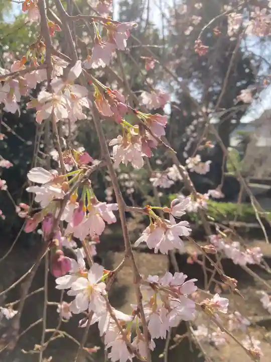伊豆山神社(静岡県)